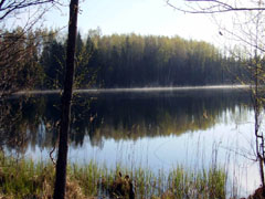 Озеро Усвятье осенью
